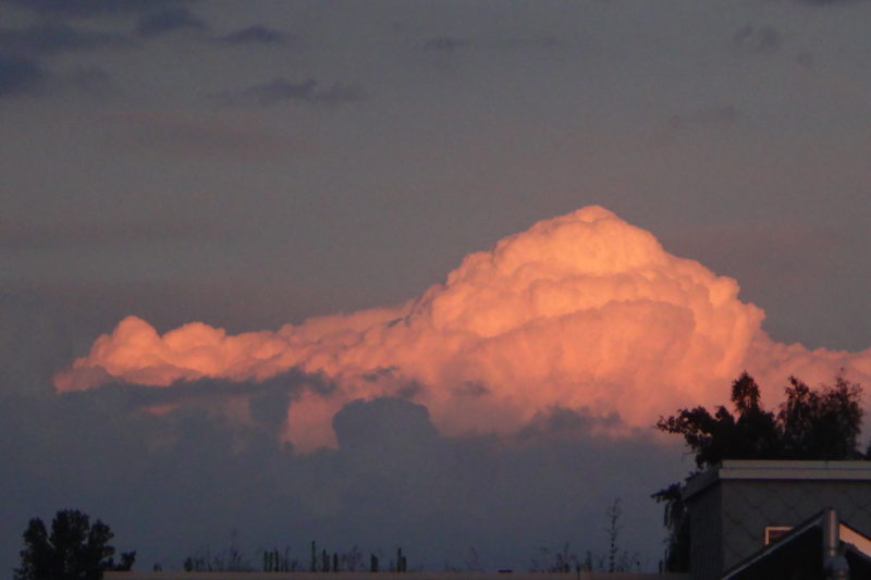 Lyrik-Workshop featured image