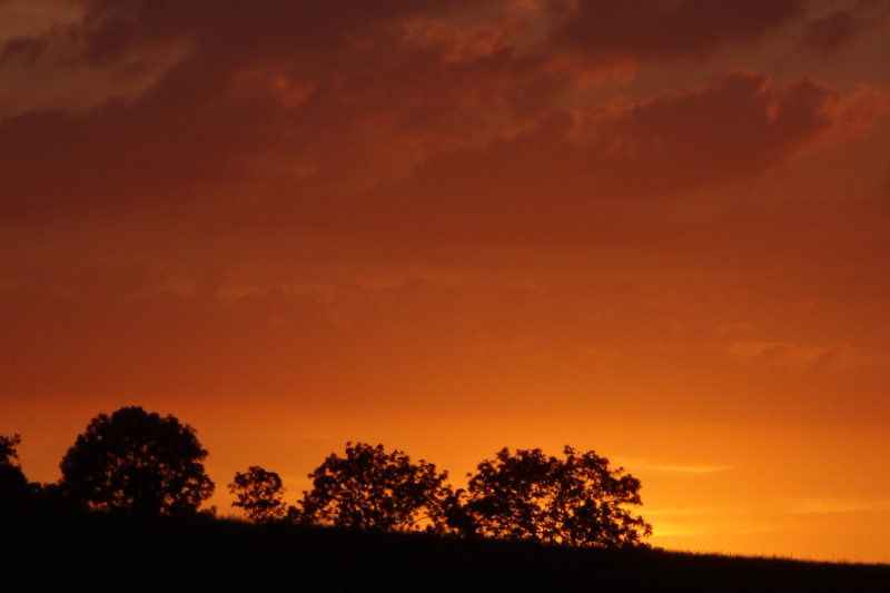 Abhängig featured image