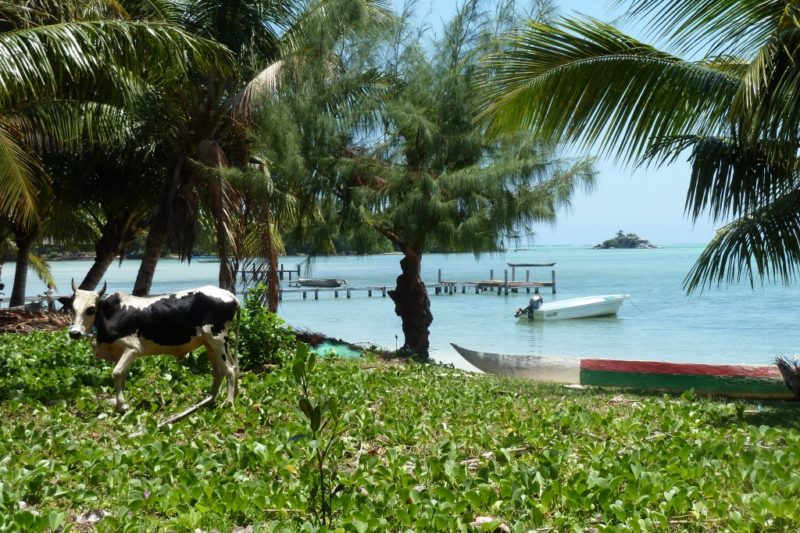 Klimawandel featured image